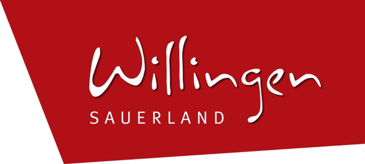 Friends & Family Domizil Willingen Apartment Willingen  Bagian luar foto