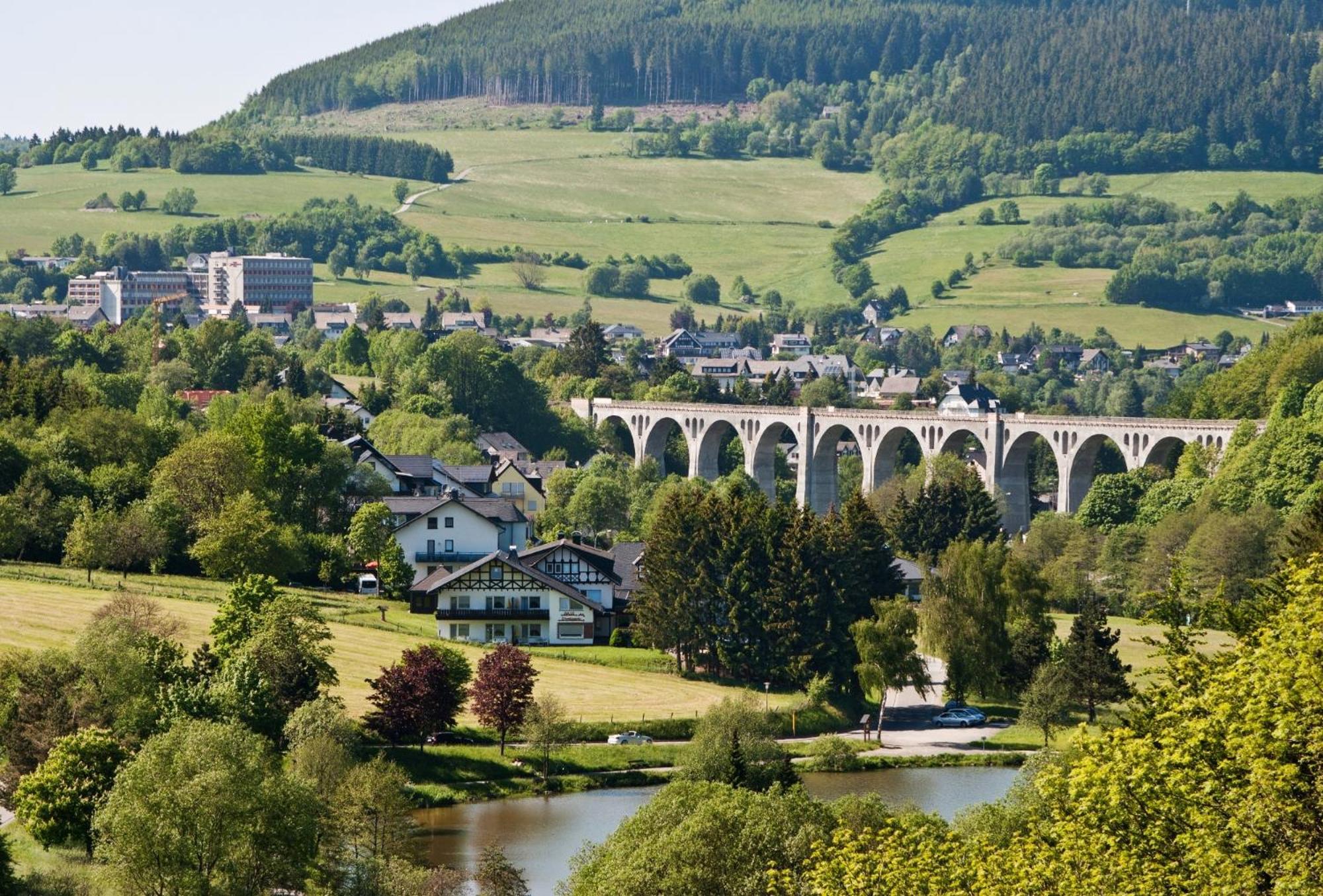 Friends & Family Domizil Willingen Apartment Willingen  Bagian luar foto